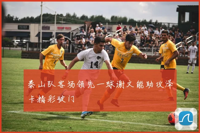 泰山队客场领先一球谢文能助攻泽卡精彩破门