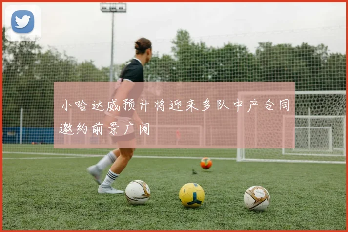 小哈达威预计将迎来多队中产合同邀约前景广阔